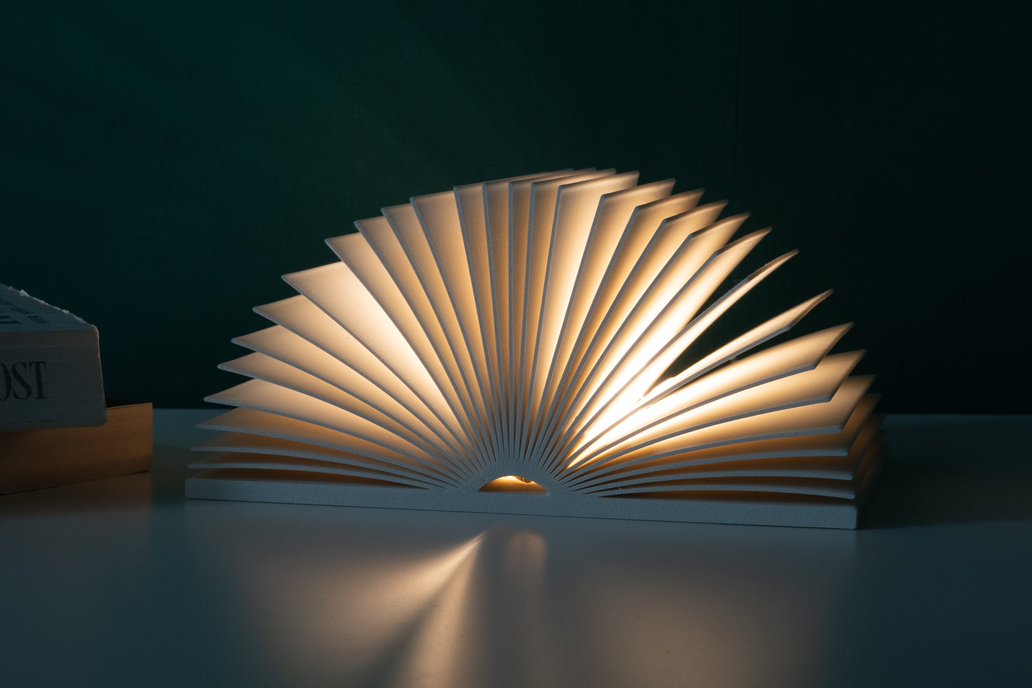 Carte Open Book Lamp